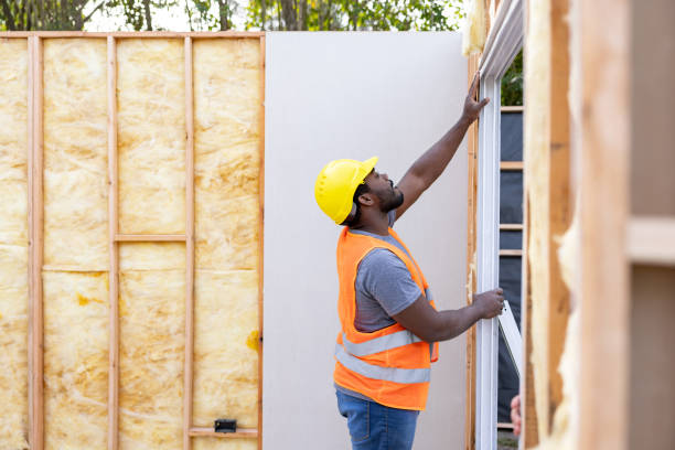 Best Garage Insulation Installation  in Dunlap, IL