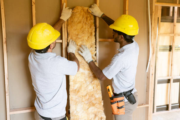 Best Soundproof Insulation Installation  in Dunlap, IL
